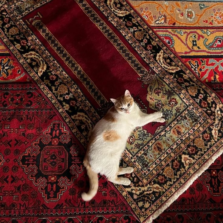 goldenngirls's tweet photo. gururuna kaybettin istemiyordun sözde https://t.co/qqkdiHtFxv