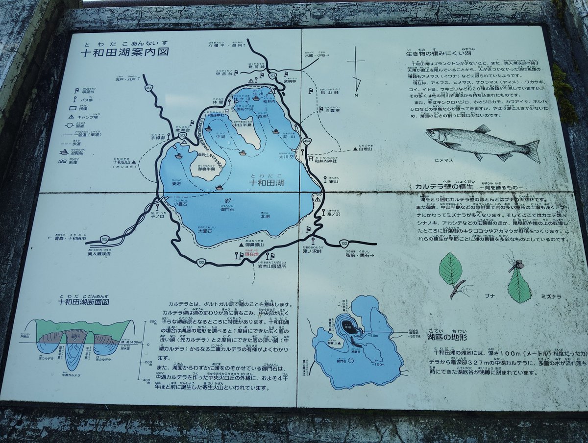 nomboo6's tweet photo. 外輪山に囲まれた高地にあるカルデラ湖:十和田湖に来ました

御鼻部山展望台から十和田湖見下ろします　碧いですねぇ
その後　湖畔まで下って少し散策　何故なら熊出没警報発令中だから

湖畔に停泊中の使われなくなって何十年の遊覧船が景観を損ねますねえ https://t.co/Uc7pubG7su