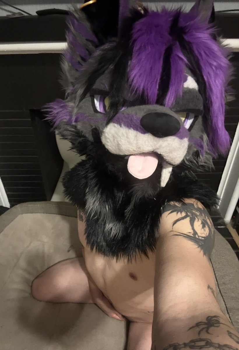 BastionsFunTime's tweet photo. Cuddles? 🥰 
#furry #fursuit #murrsuit #furrynsfw #furryporn https://t.co/ekDOlQJF3G