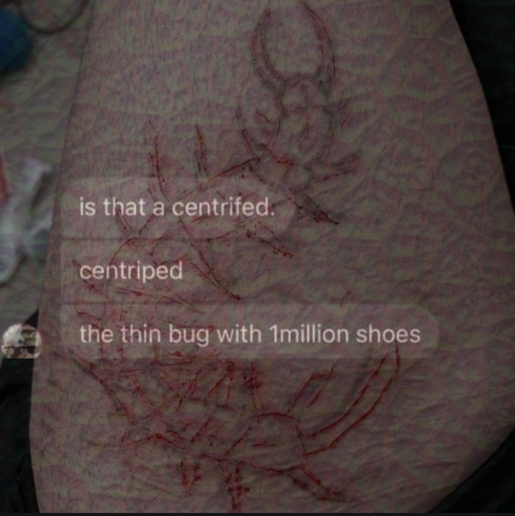 gh0ulslitz's tweet photo. 🤔🤔🤔
⚠️makeup sfx not real

#scarspo  #shrtwt https://t.co/xQJYBttpqo