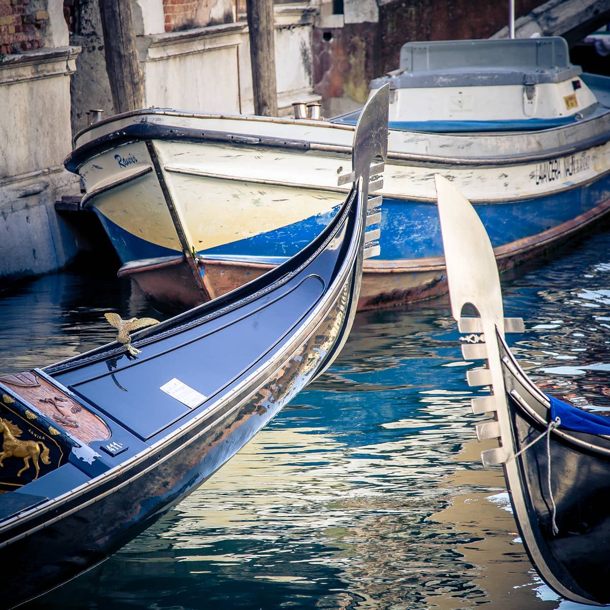 LaineDobrix0's tweet photo. Venice https://t.co/dahUIcUTJE