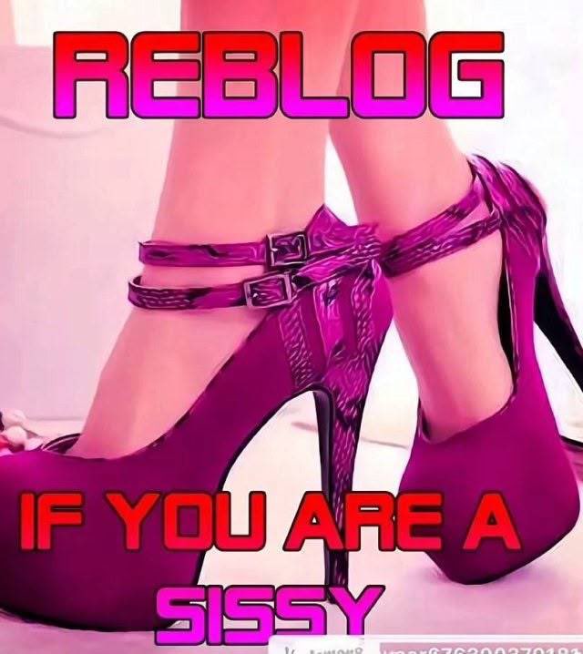 GoddessNathan33's tweet photo. Are you a sissy that love heels…. Retweet now and I will inbox you for some sessions 
#sissyslave #FemBoy #Sissylover https://t.co/H5Z4BiYSSW