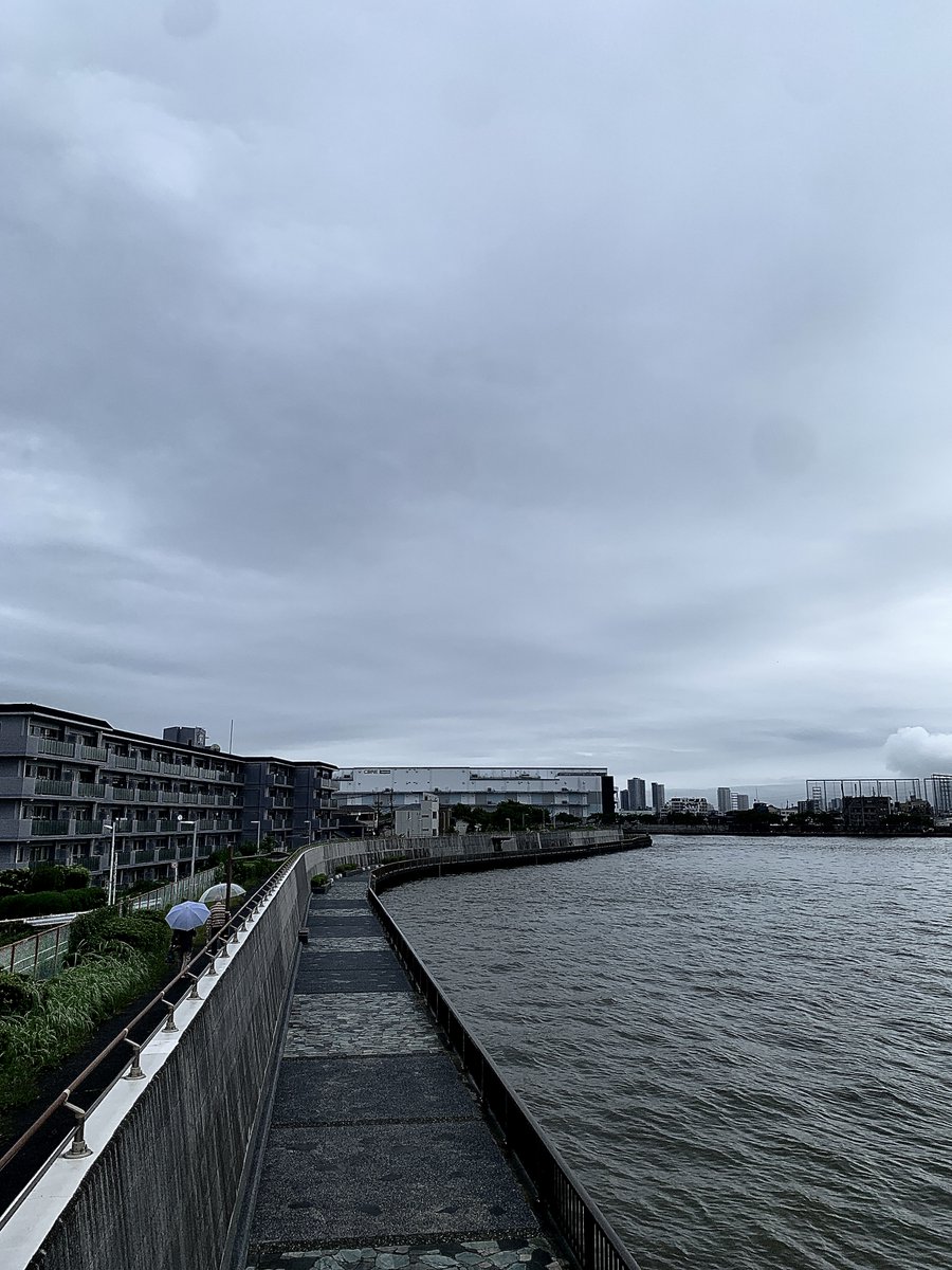 tam_tam17701827's tweet photo. 再び降り出した雨、朝の遊歩道の風景： https://t.co/eEUukIXv2J
