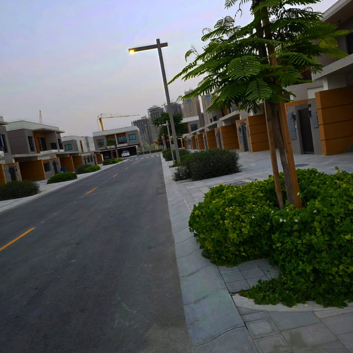 MadeleneShygf's tweet photo. Evening strolls >>> everything else https://t.co/eGvHGlBt7b