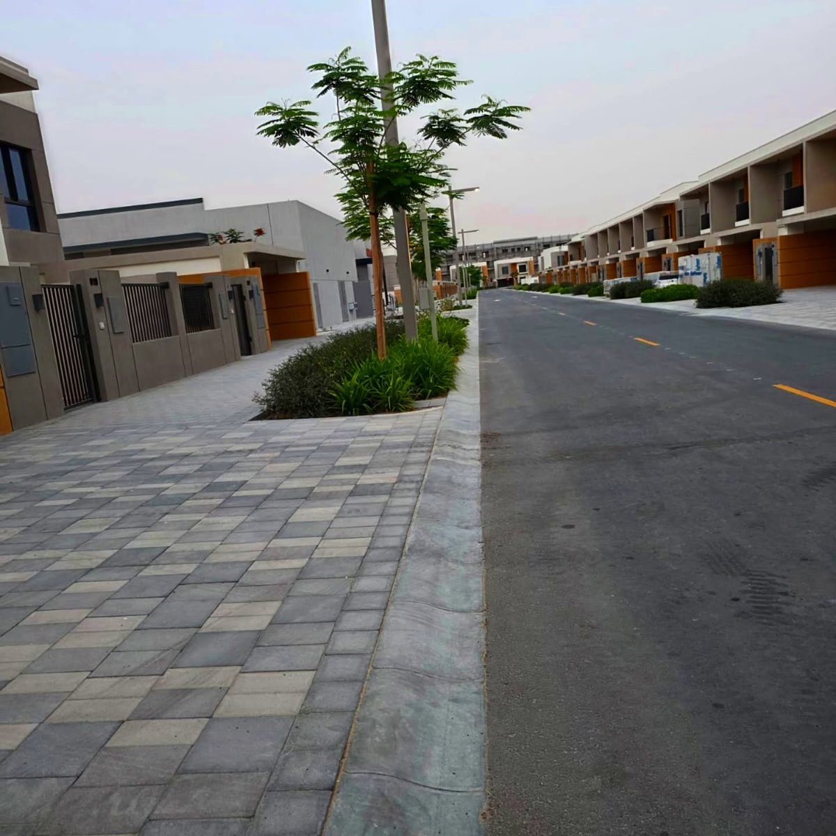 MadeleneShygf's tweet photo. Evening strolls >>> everything else https://t.co/eGvHGlBt7b