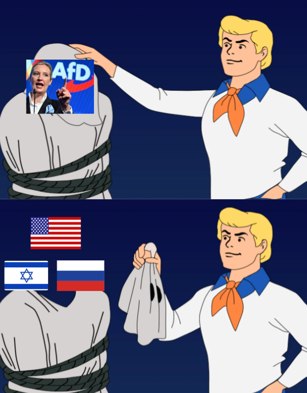 YourAnonCentral's tweet photo. The reality of the AfD and the global far-right movement https://t.co/VLnhl46ko3