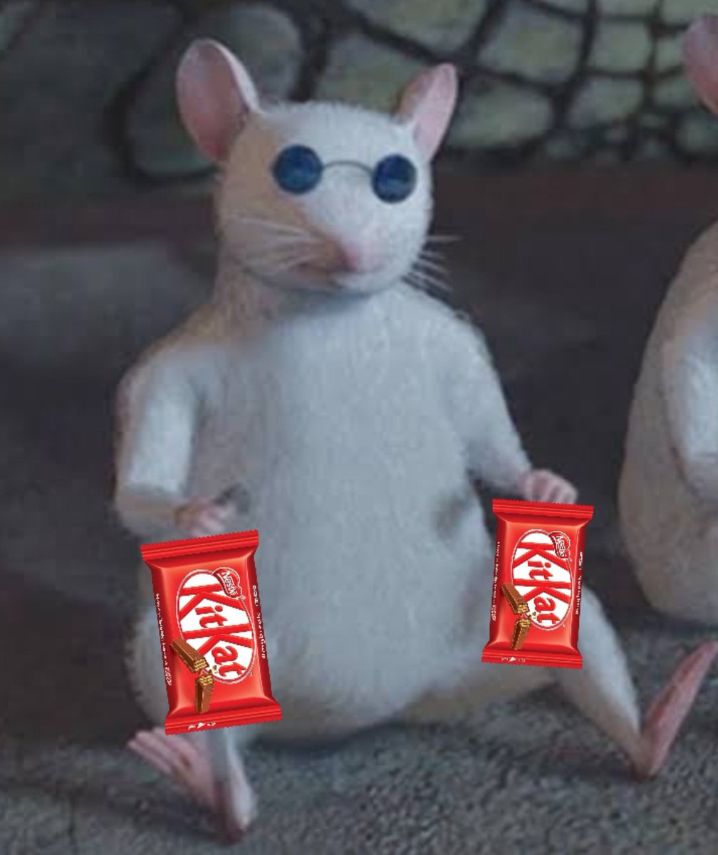 Gusta216859new's tweet photo. @KitKatBrasil O meu também, aqui do sofá de casa acompanhando e comentando tudo com você @KitKatBrasil 
#KitKatRockInRio2026 https://t.co/52o0d4o18P
