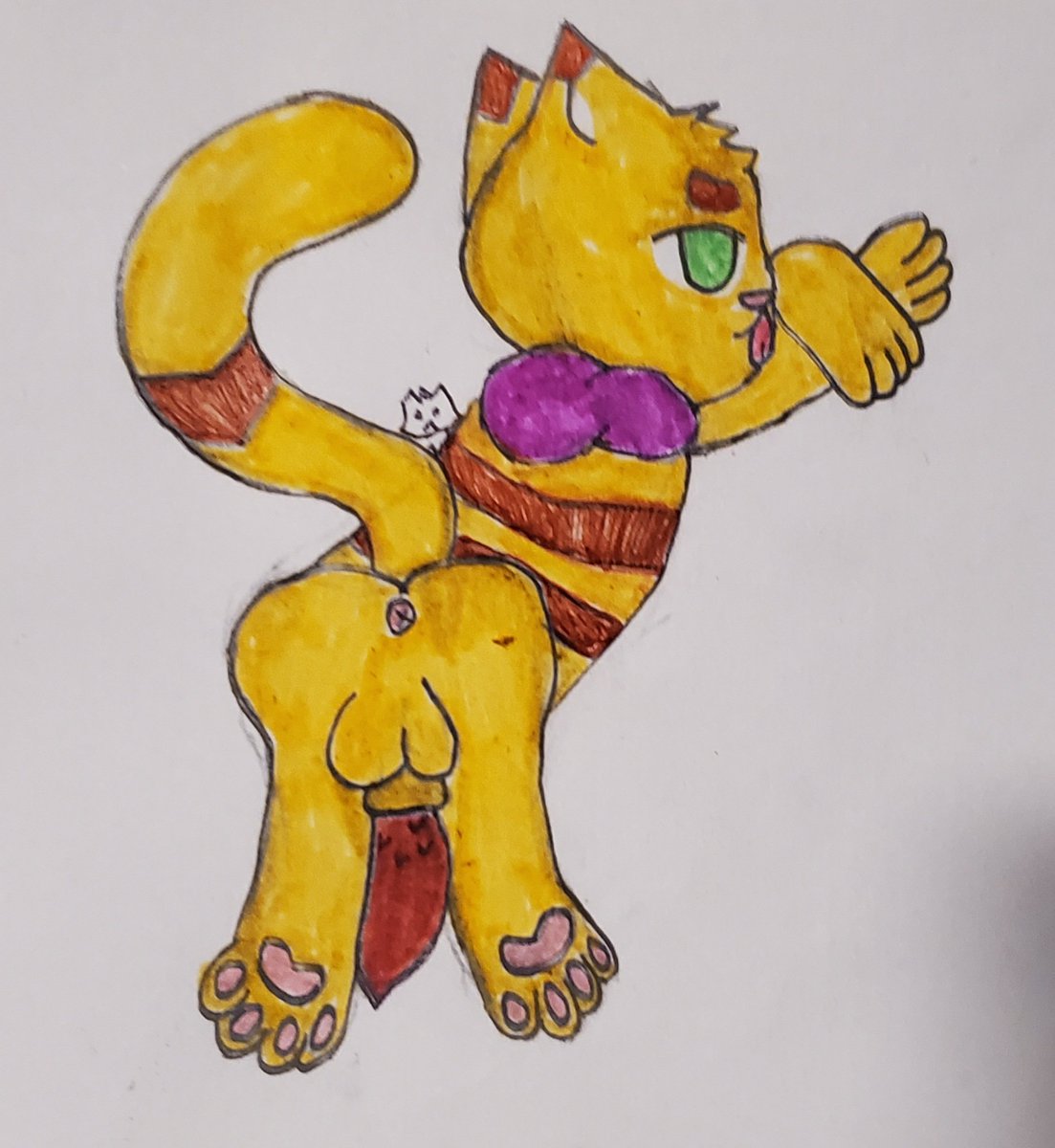 SpicynuggetCat tweet picture