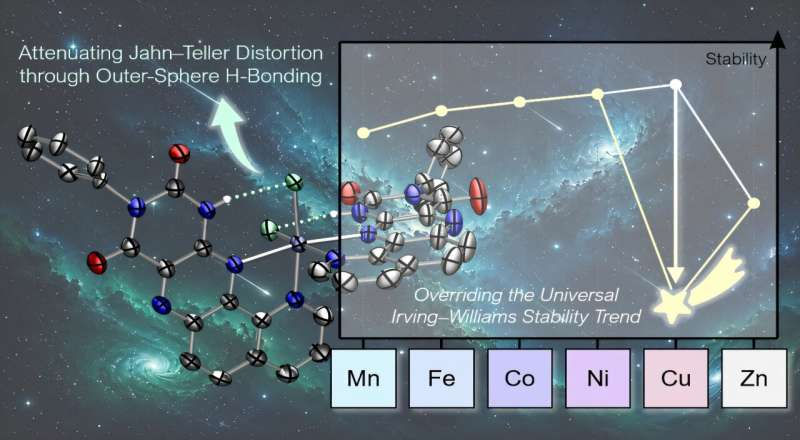 elementomania's tweet photo. Weak hydrogen bonds dethrone copper as the most stable metal binder, opening a new path for metal selection https://t.co/fZsiEmAGNl via @physorg_com https://t.co/CKSZbalj3m