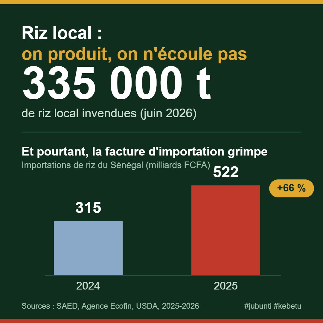 FallAliwu's tweet photo. Riz local : 335 000 tonnes invendues, et on importe toujours

En 2014, le Sénégal lançait le Programme national d'autosuffisance en riz. Douze ans plus tard, le président Diomaye Faye répète que « l'autosuffisance est à portée ». Sur le terrain, les chiffres disent autre chose.

En juin 2026, près de 335 000 tonnes de riz et de paddy dormaient dans les magasins de la vallée, sans acheteur. Plus de 35 000 tonnes de riz blanc attendaient preneur. Réponse de l'État : suspendre encore les importations (déjà bloquées depuis novembre 2025) et sortir 3,15 milliards de FCFA pour racheter environ 9 000 tonnes aux producteurs.

Soyons justes, la production progresse et bat des records. Le problème n'est pas au champ, il est après le champ. On produit un riz que la filière ne sait ni transformer, ni stocker, ni écouler à un prix compétitif. Résultat, le Sénégal a importé 1,39 million de tonnes de riz en 2025, pour près de 522 milliards de FCFA, contre 315 milliards en 2024. La facture d'importation monte, elle ne baisse pas.

Interdire l'importation par circulaire et racheter les stocks avec l'argent public, c'est soigner le symptôme. C'est le vieux réflexe qui a coulé la SONACOS : la subvention sans discipline ni débouché organisé. Un consommateur dakarois n'achète pas du riz local parce qu'on le lui ordonne. Il l'achète s'il est disponible, propre, calibré et au bon prix.

Ce qui manque, ce n'est pas un décret de plus, c'est une filière structurée. Trois leviers, dans l'ordre : accompagner les producteurs et les rizeries (qualité, calibrage, normes), structurer le stockage et la transformation, financer l'équipement et le fonds de roulement. Le rôle de l'État est d'être un facilitateur : foncier, désenclavement de la vallée, énergie, crédit, contrats d'achat clairs. Le moteur reste l'investissement privé rigoureux, pas le comité interministériel.

Tant qu'on célébrera les tonnes produites sans régler l'aval, on rachètera chaque année les invendus avec l'argent du contribuable et on continuera d'importer pour 500 milliards. L'autosuffisance ne se décrète pas, elle s'organise.

#jubunti #kebetu