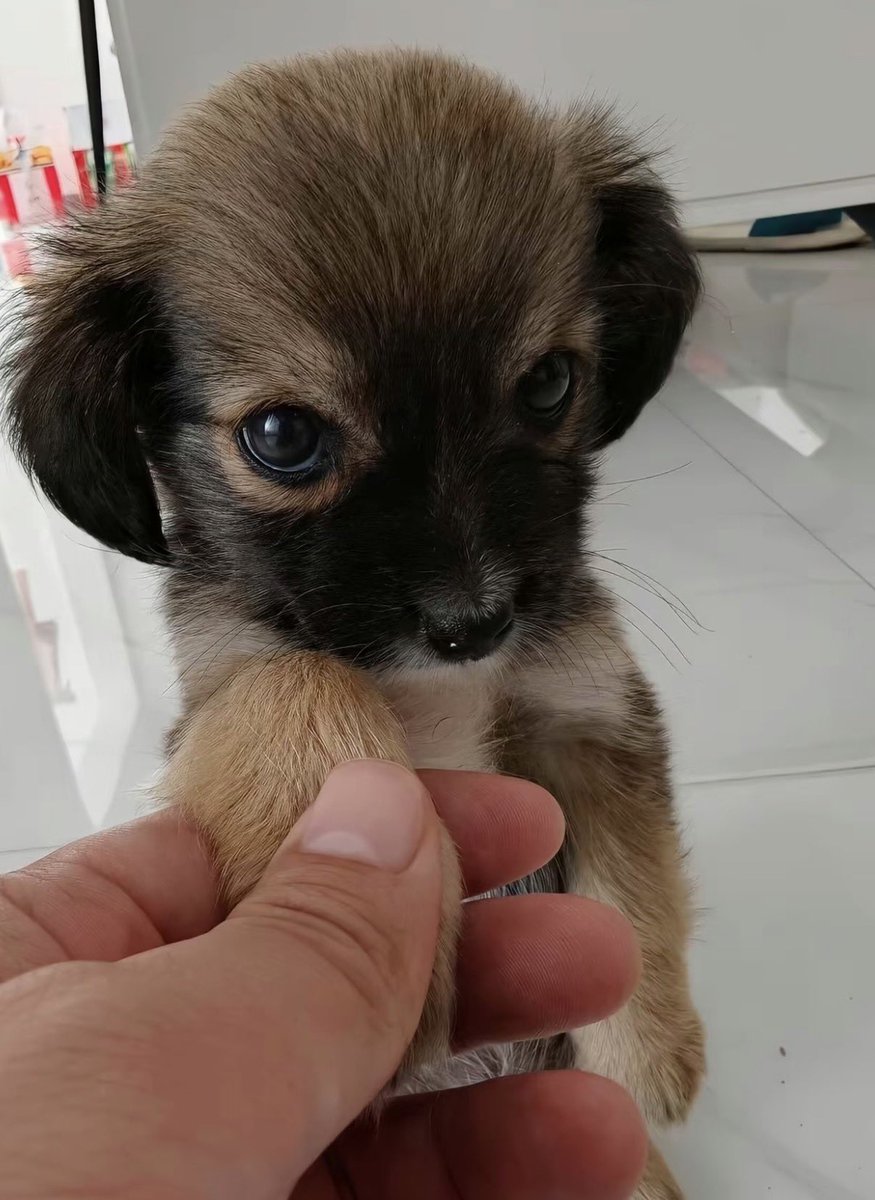 twaniimals's tweet photo. https://t.co/Ittaug2h5V