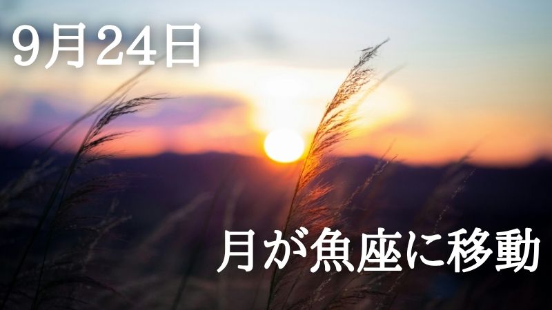 solaritaservice's tweet photo. 本日、月が魚座に移動

「最後の世界」の境界が溶けて

不思議な出会いが生まれる

↓星と暦からあなたの運勢を占い、120段階のランキングでお伝えします！
https://t.co/YfJ0Yr1MYi https://t.co/4AjXz7OOd9