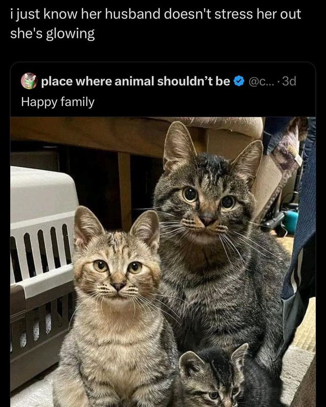 hhowdiditend's tweet photo. https://t.co/W4y1yNT4uD