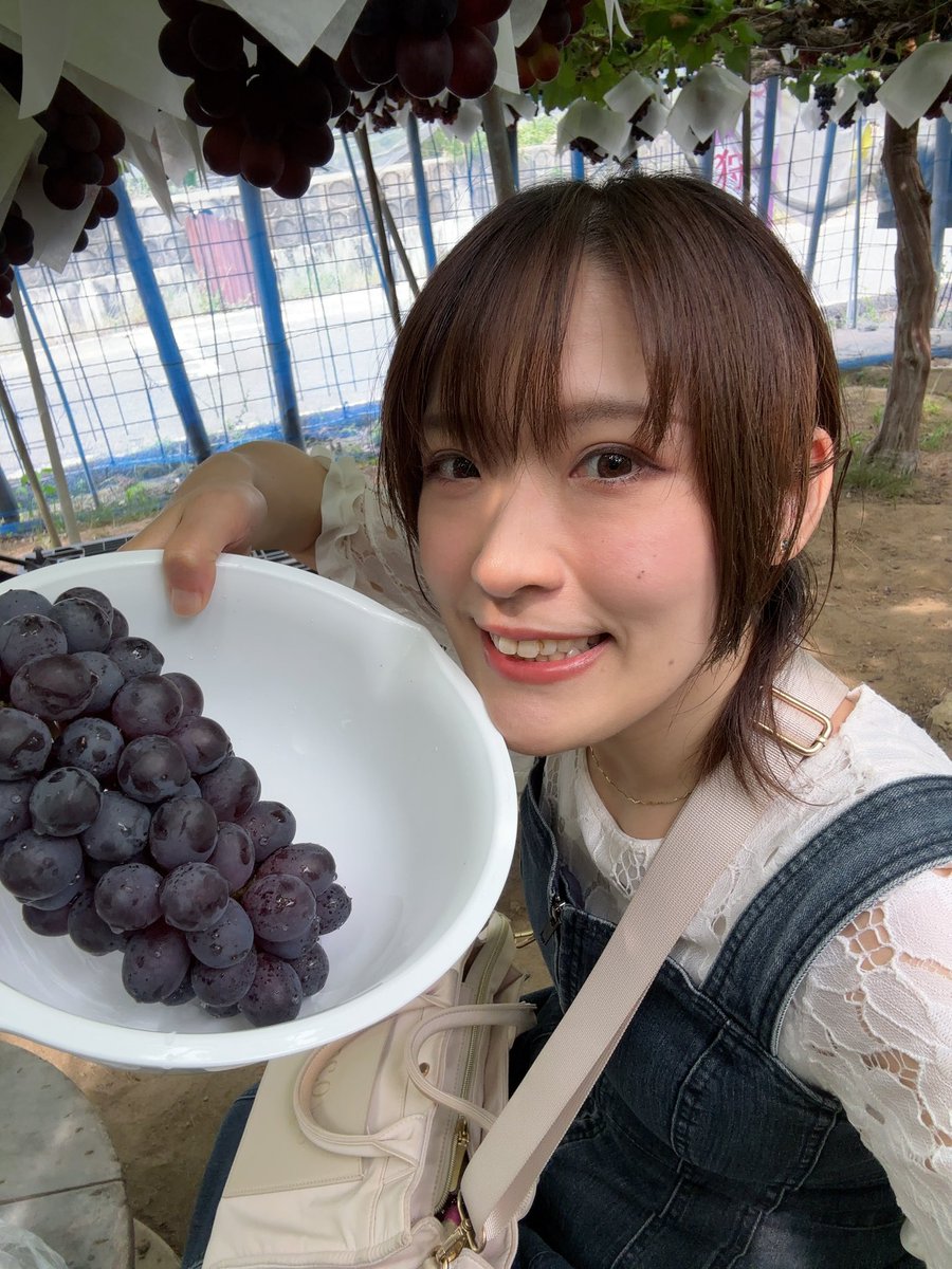 kanamyng310's tweet photo. 先日友だちと
おそらく人生初のぶどう狩り🍇に行ってきました😊

めっちゃ楽しかった！！！！ https://t.co/mB56ae2IZL
