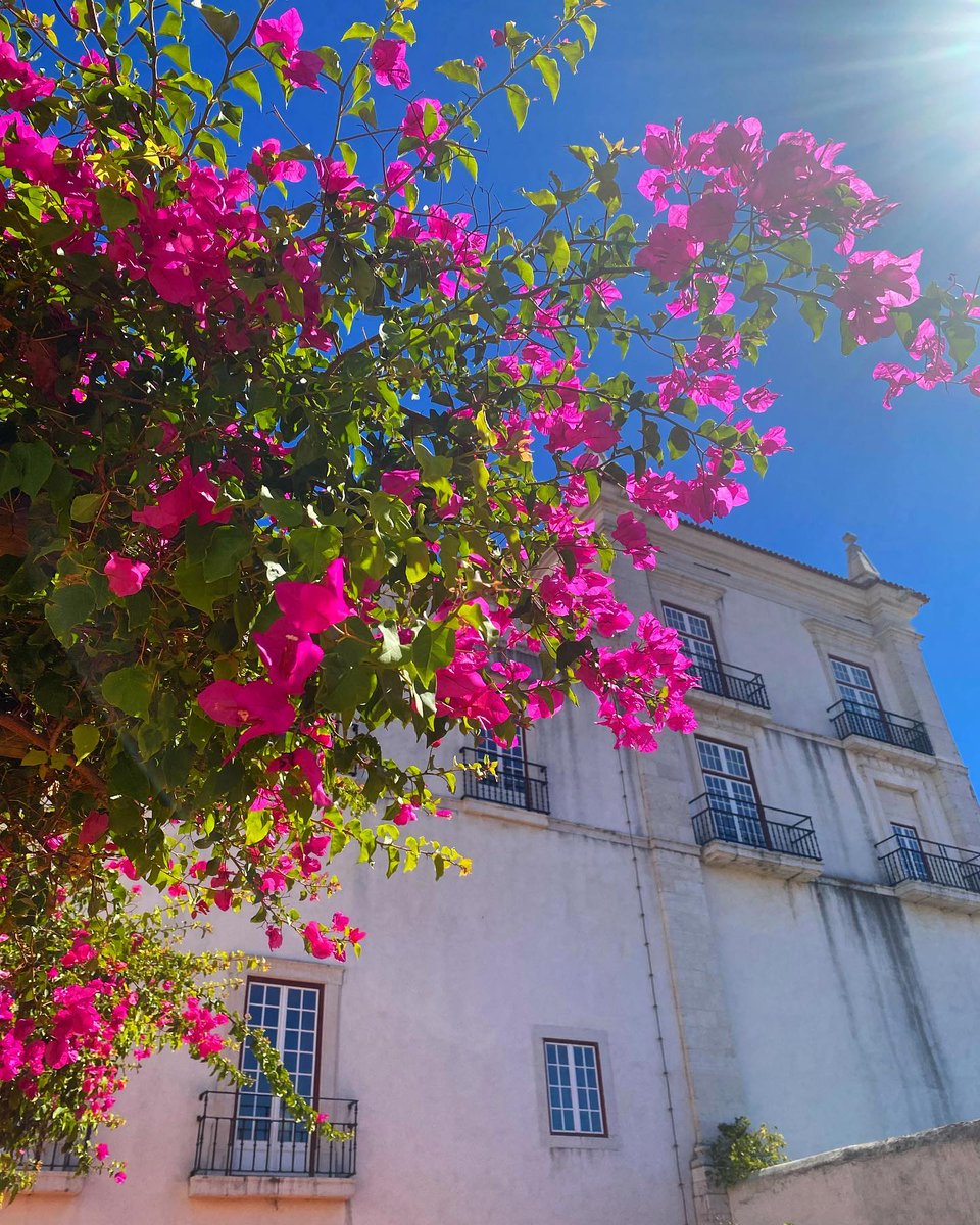 MeeGutterrjdl's tweet photo. Lovely Lisbon… https://t.co/R57deMmmbu