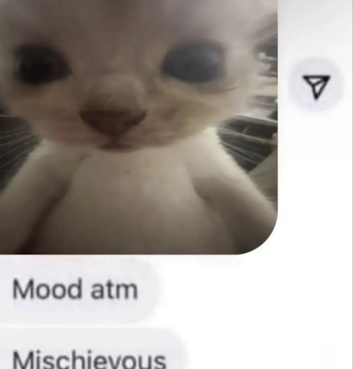 literallymecats's tweet photo. https://t.co/hki00cHAOc