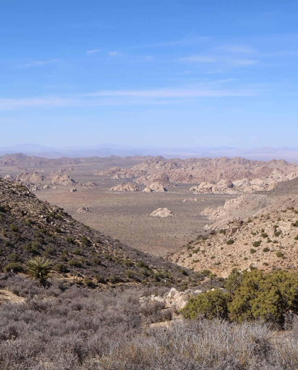 JennyLetsovlej's tweet photo. Ryan Mountain - Joshua Tree National Park (@joshuatreenps) https://t.co/JD7PYwuUw1