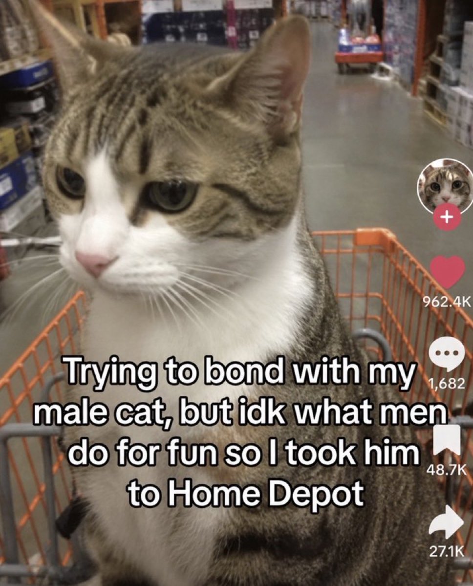 literallymecats's tweet photo. https://t.co/gxooEY8q6Y