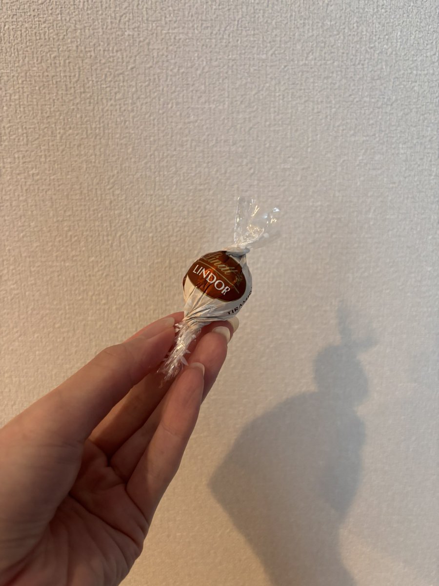 ntc_grt's tweet photo. 6時台に目覚めてしまった〜
でも早起きしたらチョコ食べていいルールあるので食べます🍫 https://t.co/1XWH12ksXI