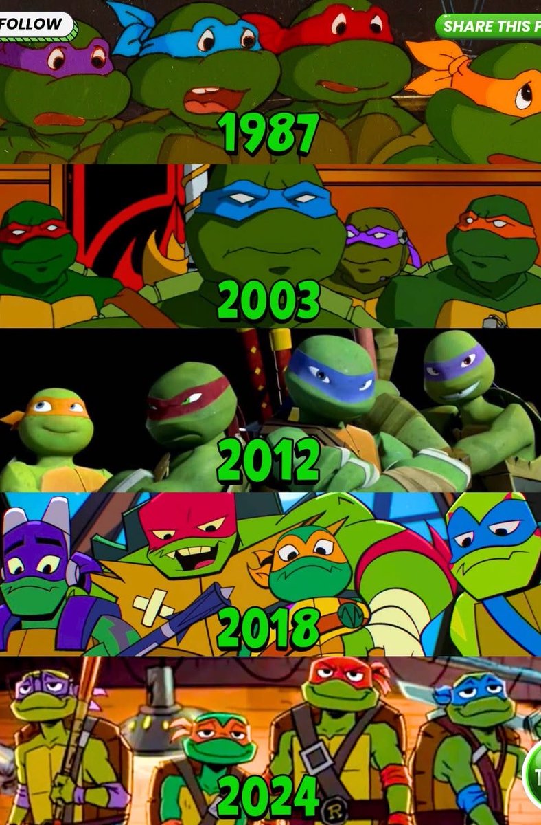 NinjaTurtleLair's tweet photo. Is 2003 the best here? #TurtleLair https://t.co/vVSP0BcI1i