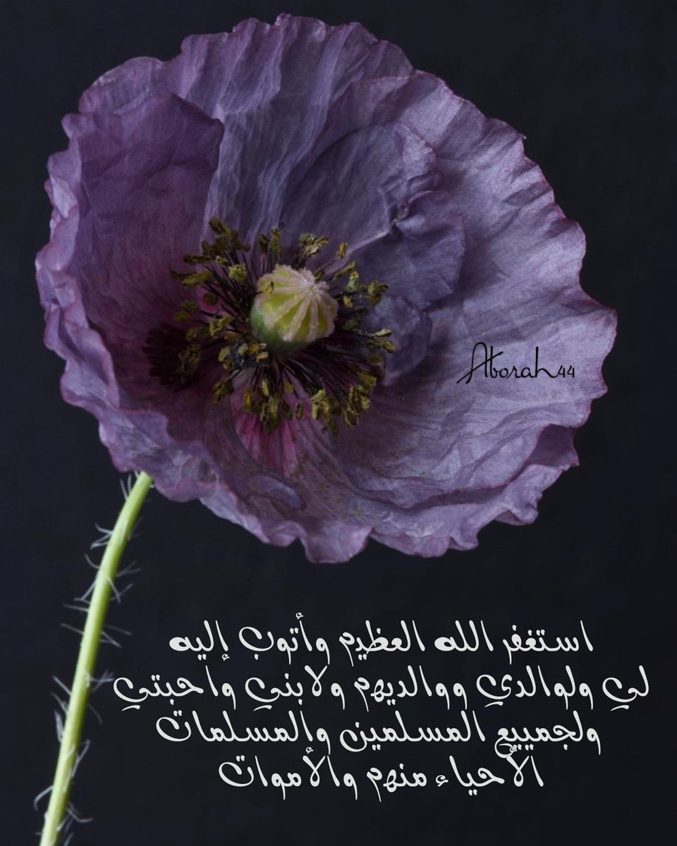 AMoafaq's tweet photo. https://t.co/gUapi1blbZ