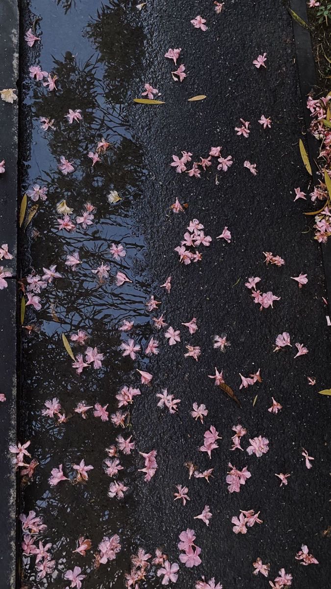 300moods's tweet photo. https://t.co/WOlAQARtXo