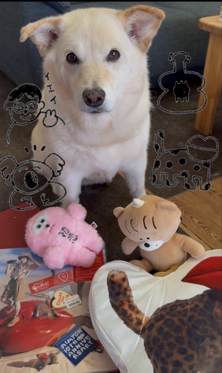 tk121711's tweet photo. フラゲ💿　∩^ω^∩
💋🫯👒🦭🎸

AIMYON BEST ALBUM 
　- 唇を追え！ -

10th anniversary.
❽❹  days until the goal.

欲しいもの？考え中

〜今日は晴れ、肌寒い。
　私は家、ギターを弾く。〜

#あいみょん
#あいみょん10th https://t.co/Ke441JGCDM