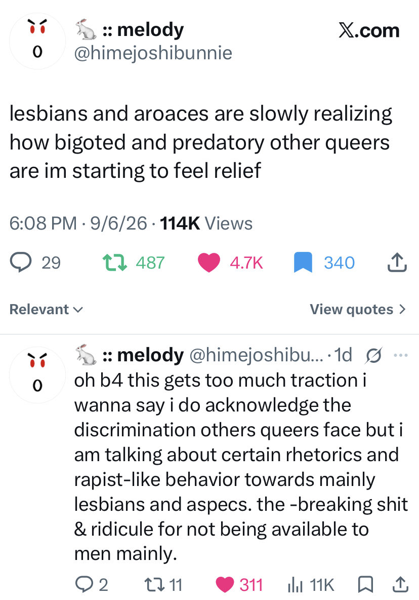 ashiikaru's tweet photo. You can just tell when someone feels called out by something… Because what’s the problem? An aroace lesbian speaks up about how even in the queer community, people can be bigoted and predatory towards them and you want to talk about “We have bigger problems?” https://t.co/pCvtkCIXzs