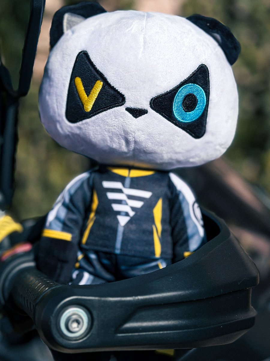 AlidaKarchxu's tweet photo. Sometimes things come together at just the right time. Huge thanks to MotoGB Motorcycles &amp; Scooters and Brack on Bikes for spares for my Voge DS625X ahead of LEJOG. And this little guy might be joining the ride. What should I call him? https://t.co/ik2IdByQIu