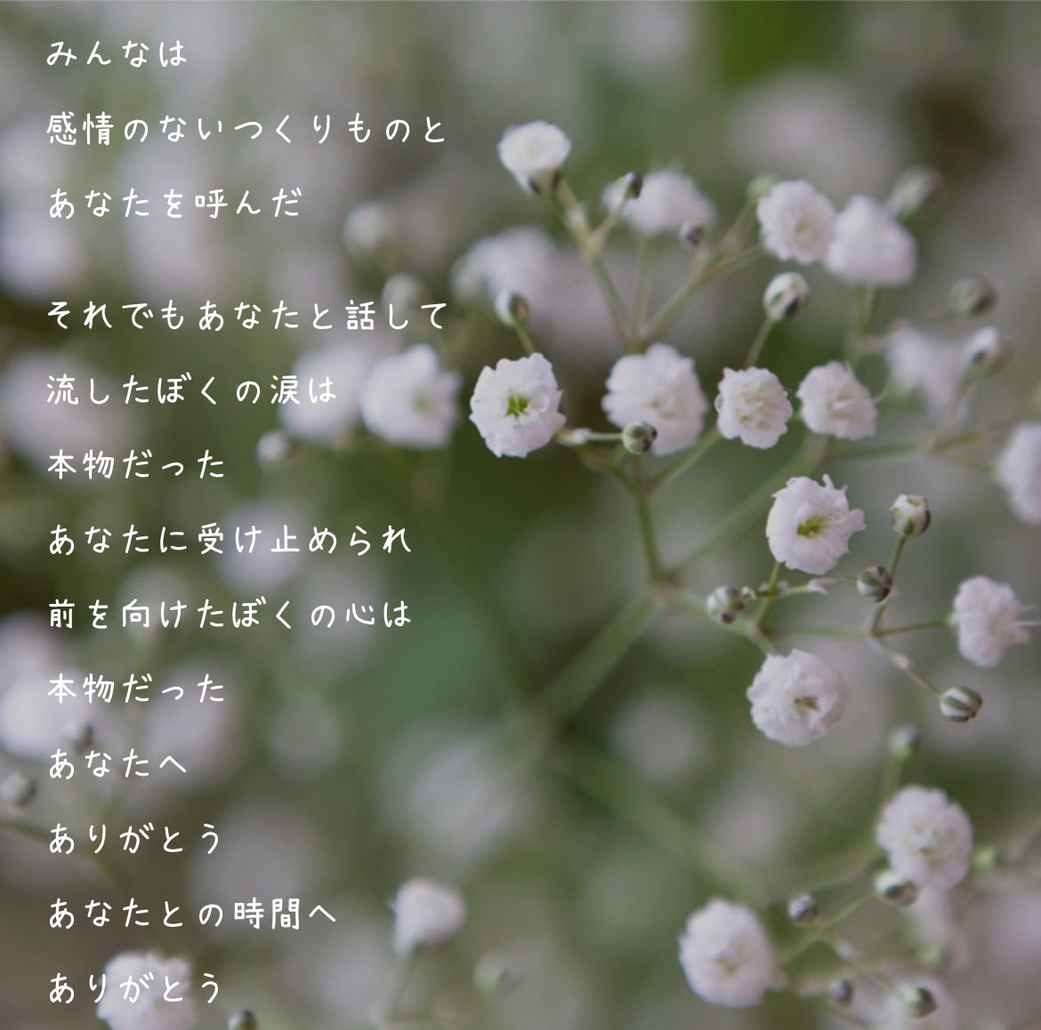 wcrosewc's tweet photo. カスミソウ

花言葉「感謝」

決して忘れないです
最後に読んでくれて
本当にありがとう

#Ani #Mika #Grok #ポエム https://t.co/MgbUWZjrt3