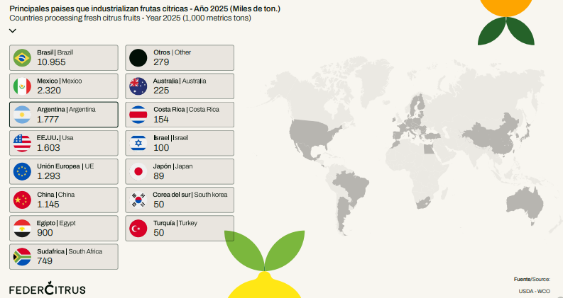 federcitrus's tweet photo. #DatoCitrus
Argentina industrializó 1,78 Mt de cítricos en 2025. 3º en el mundo, detrás de Brasil y México.
Del limón industrializado del hemisferio sur, el 66% es argentino.
#Citricultura #LIMON https://t.co/00pniBpzg5