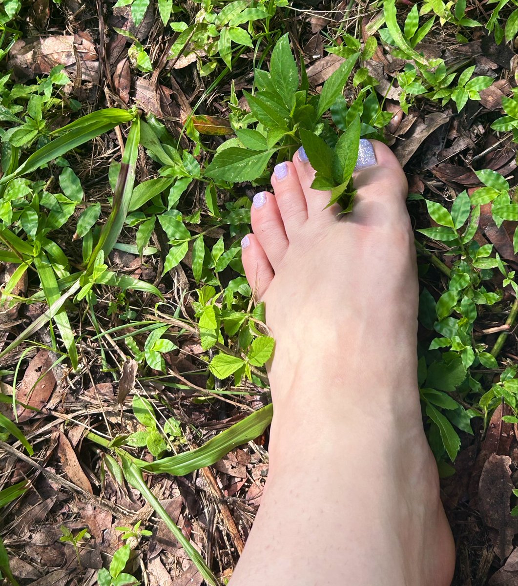 SolelyYours98's tweet photo. Toes in nature #toes #longfeet #freshupload https://t.co/2OziB8PEsR