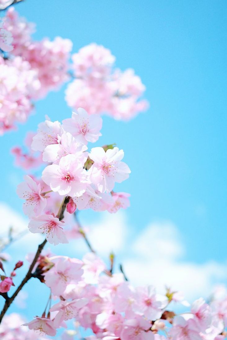 SpeedAnswer's tweet photo. コンテンツは量より質の時代です。
あるB2B企業が情報価値を高めた結果、リード獲得が3倍に増加しました。
皆さんはどのように質を向上させていますか？ https://t.co/FLLERNsmUR