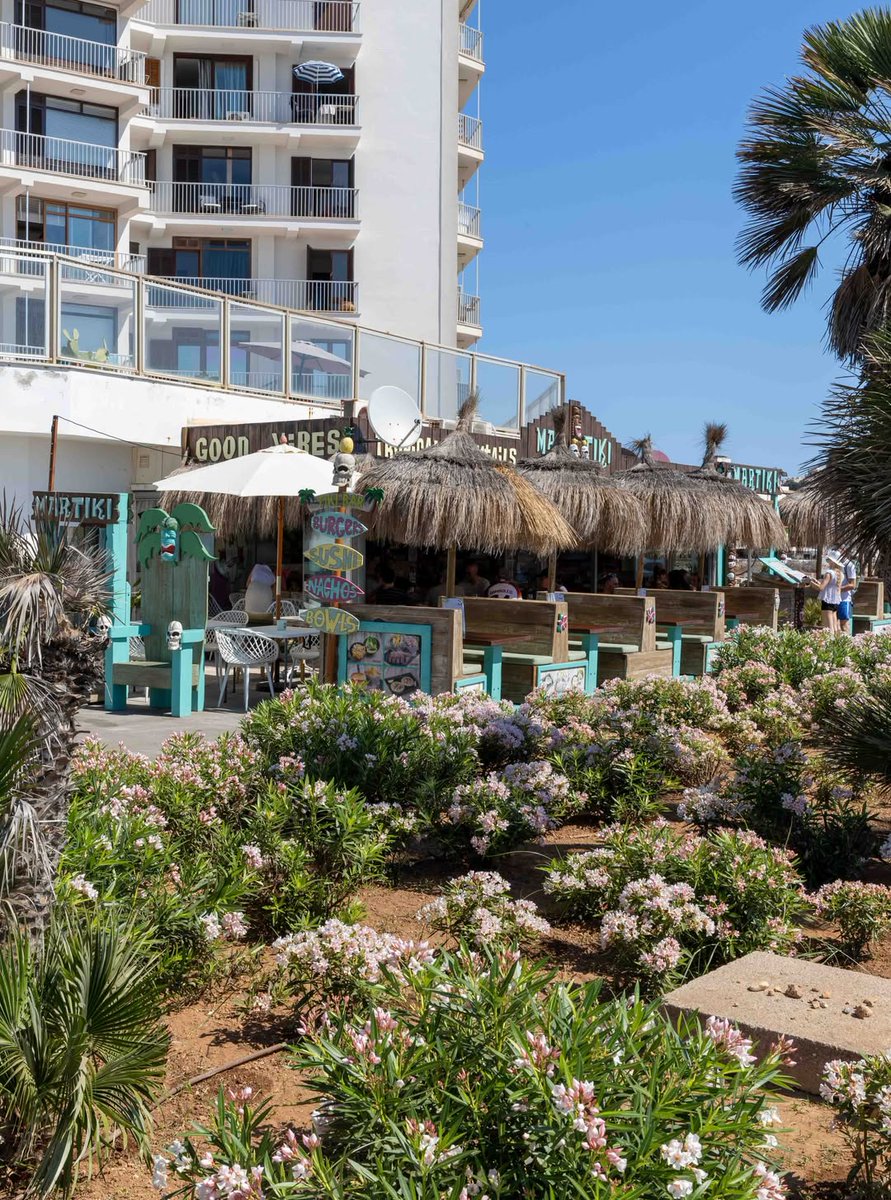 DanikaStap6w's tweet photo. Cala Ratjada — life is good here! Delicious food, refreshing drinks, and a fantastic sea view. The perfect blend of holiday vibes, great atmosphere, and Mallorca at its best. https://t.co/hKc3tAuurM