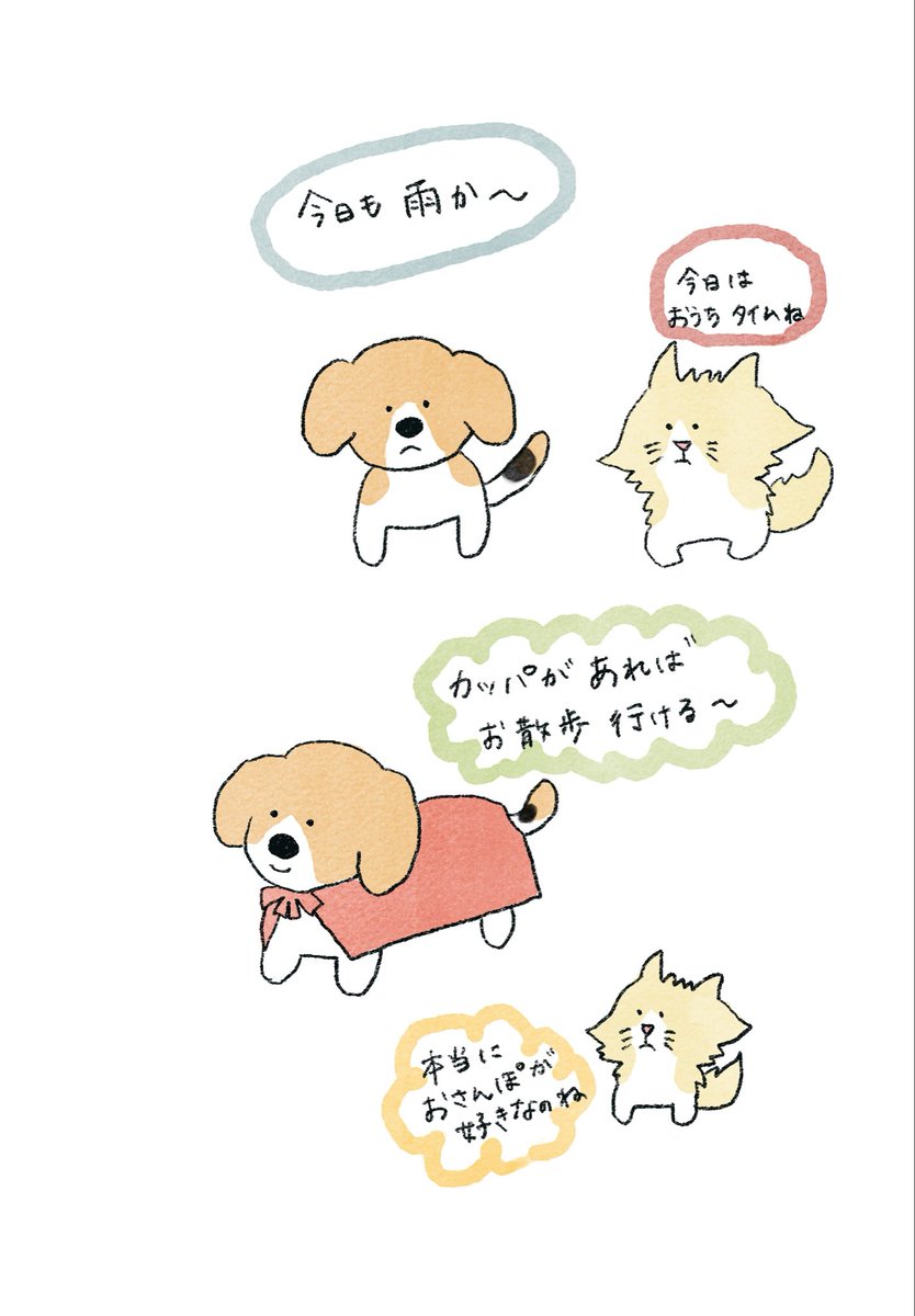 Mates0108's tweet photo. 雨が続く🥺
ホームズには天気は問題ないようだ😳

#イラスト #ゆるい絵 #ビーグル #ミヌエット https://t.co/iBixM8aK1f