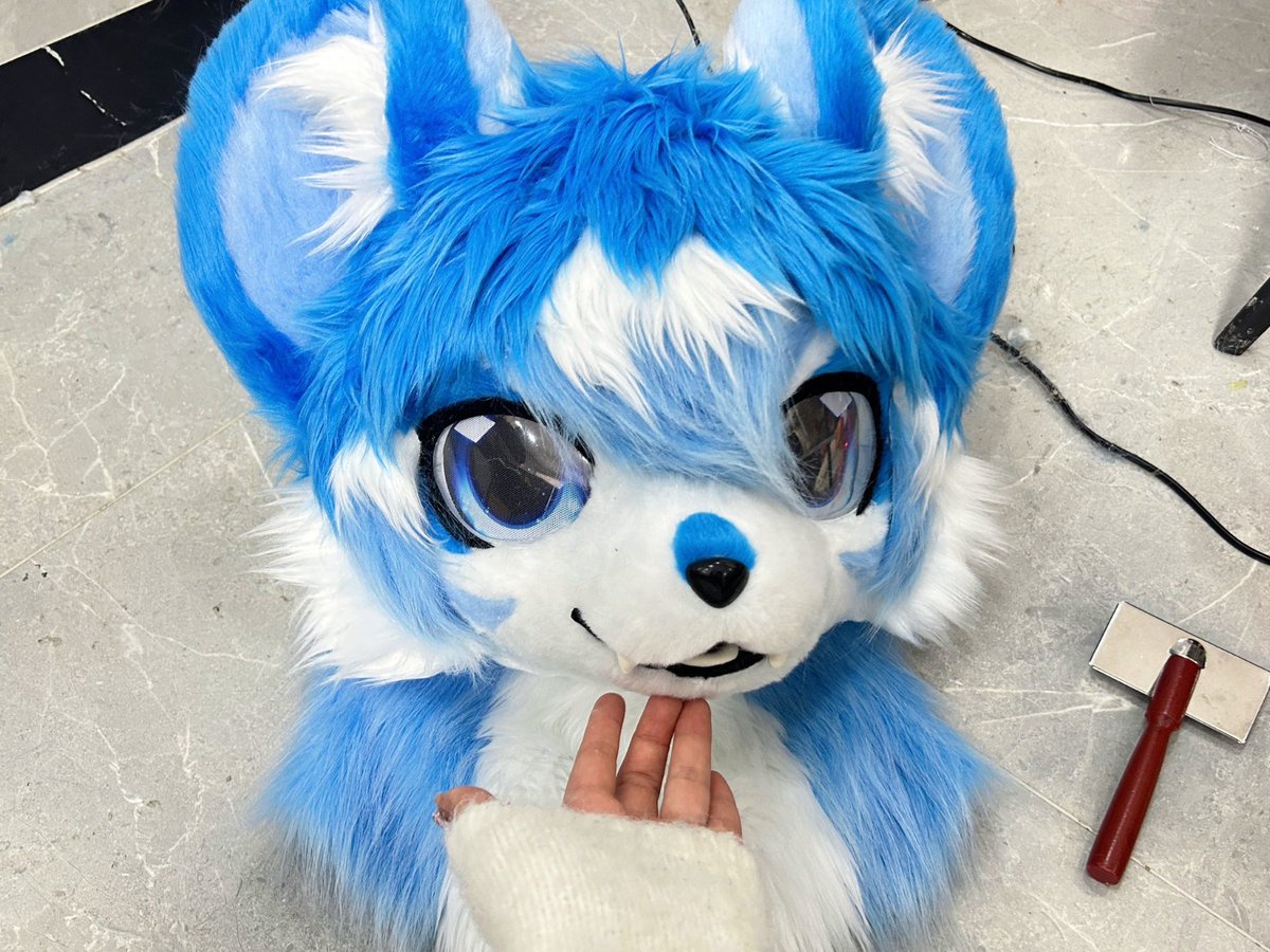 Zoefursuit's tweet photo. COMMISSION COMPLETE 💙
This adorable blue baby is finally done
Huge thank you to  @party_Ron98 
 for trusting me with your commission and for being such a wonderful client 💙
It was so much fun bringing this cutie to life

#Fursuit #FursuitMaker #FurryFandom https://t.co/9RAyNwBsBq