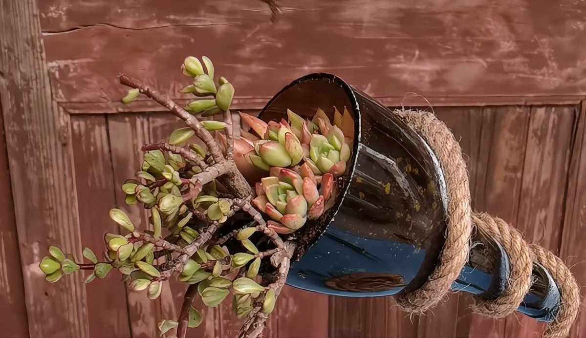 Hippie_pelotero's tweet photo. Turn an old glass jar into a cute hanging planter—no fancy tools needed! Just add some succulents and a jute string, instant small green joy for your desk. https://t.co/MUmAWjCquf