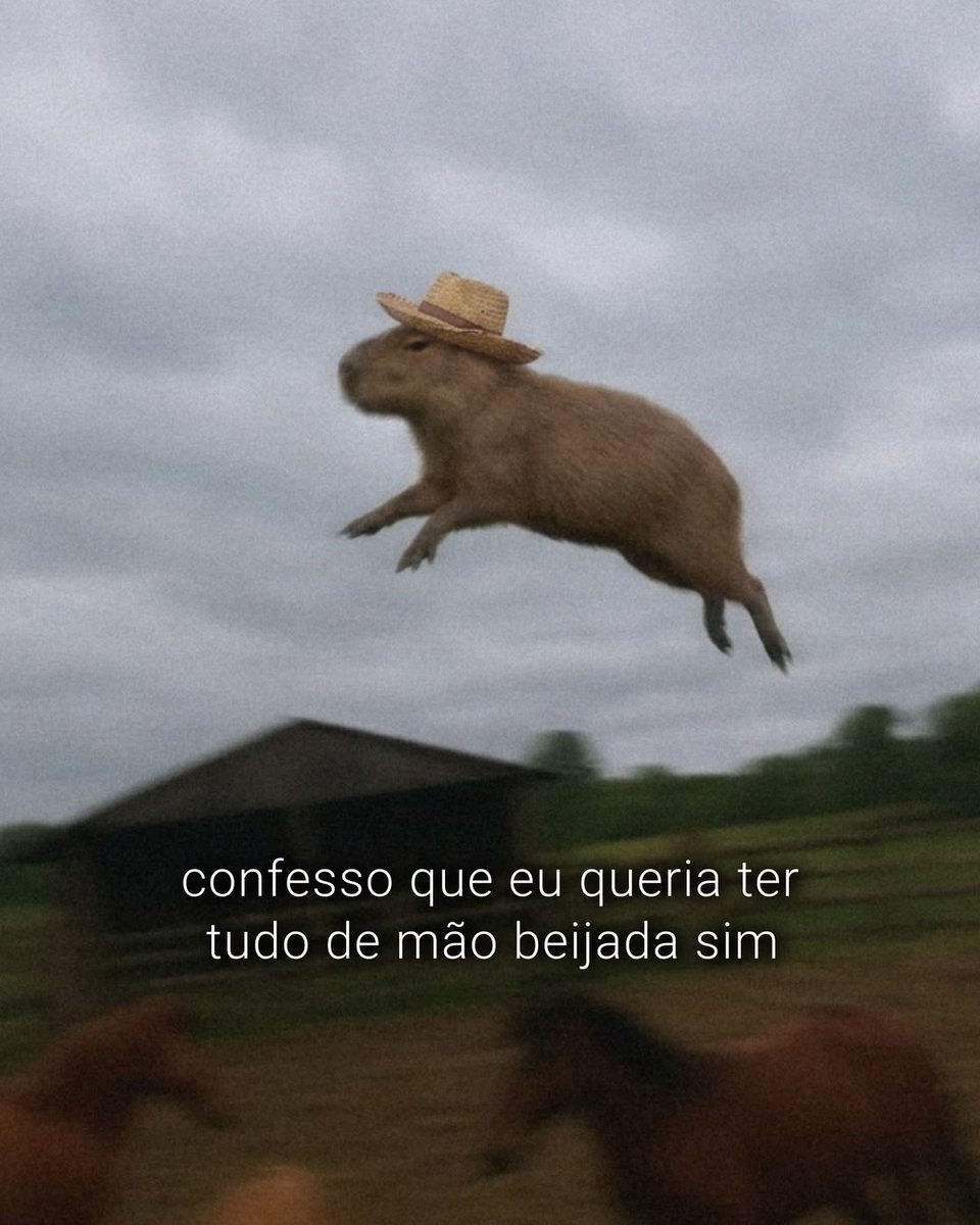 paginalixo1's tweet photo. https://t.co/qflnkLbJQu