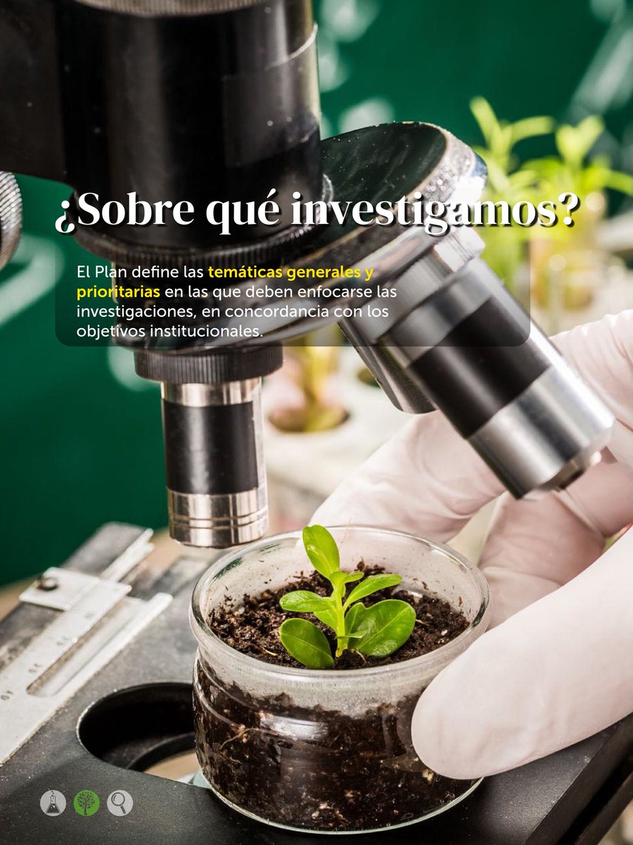 JBotanicoBogota's tweet photo. Aquí te contamos qué investigamos, qué orienta nuestras investigaciones y cómo articulamos este proceso. https://t.co/QlInfJYOE6