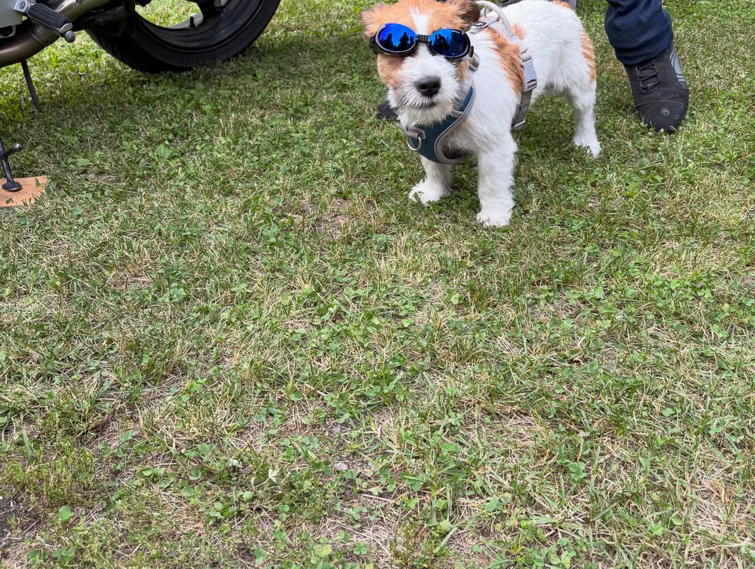 FarahCraftref's tweet photo. Visited Mallinkaisten Kyläkoulu today. Lots of people and bikes. The star of the evening is in the third photo—the one riding with those glasses. https://t.co/sjWtGR2sGB