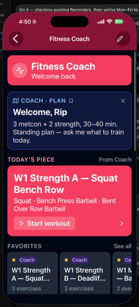 ryness's tweet photo. I started a fitness app 4+ years ago. I took my hand crafted database from that effort and started over a few months ago.

Of course I very quickly surpassed any progress I had made on the previous effort but did I want to build just another fitness app? That didn't feel right in this new AI era.

I put the app on my phone and recorded a few workouts with it. I got distracted and it sat untouched and I stopped recording workouts with it.

That changed today. Over the weekend I turned it into the worlds first (probably) Grok Bot native companion app. It still does fitness, and better than ever, and a lot more too. Working name is Gird. Suggestions welcome.

DM for early access.

@bot @elonmusk @spacexai