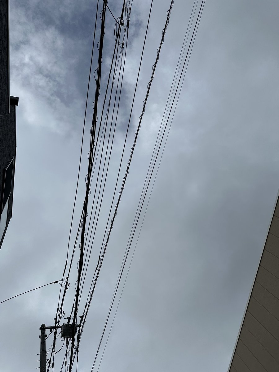 faruco_e's tweet photo. おはようございます。
今日は曇り。

今日も一日天気が悪そうです。テレワークで引きこもります。

今日も良い一日を！ https://t.co/g5kg3c0X2a