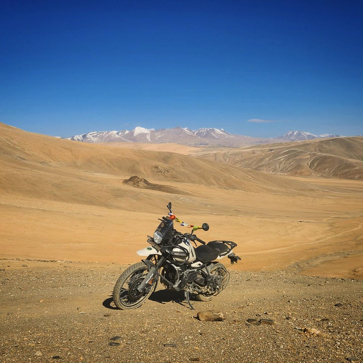LinetteMeddip's tweet photo. Rent the Royal Enfield Himalayan 450 in Kathmandu, Nepal. Ideal for hill and mountain roads, this powerful motorbike is perfect for an exciting two-wheel adventure at a reasonable price. Contact: +977 9851162426 https://t.co/NFbhRswvcv