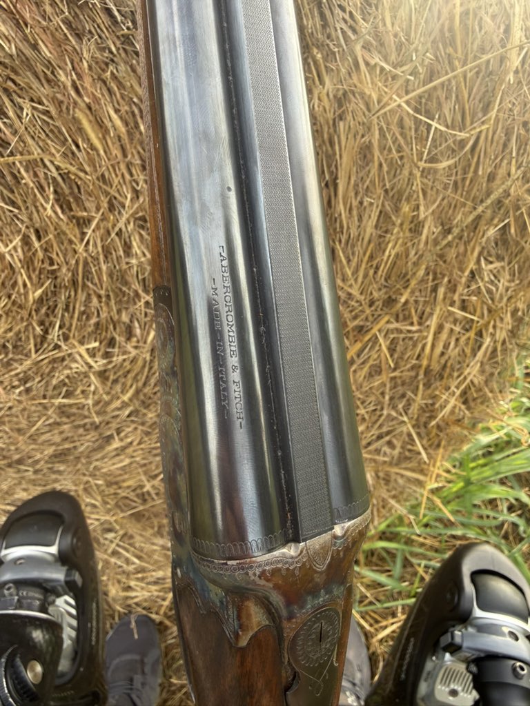 Johnny_Joey's tweet photo. One last “back yard” 🕊️ hunt to end the weekend. https://t.co/JLFoheVK8k