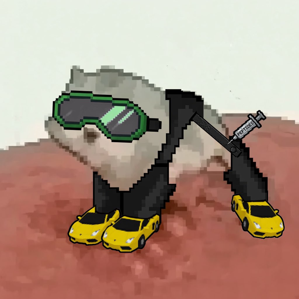 Lowqltcat tweet picture