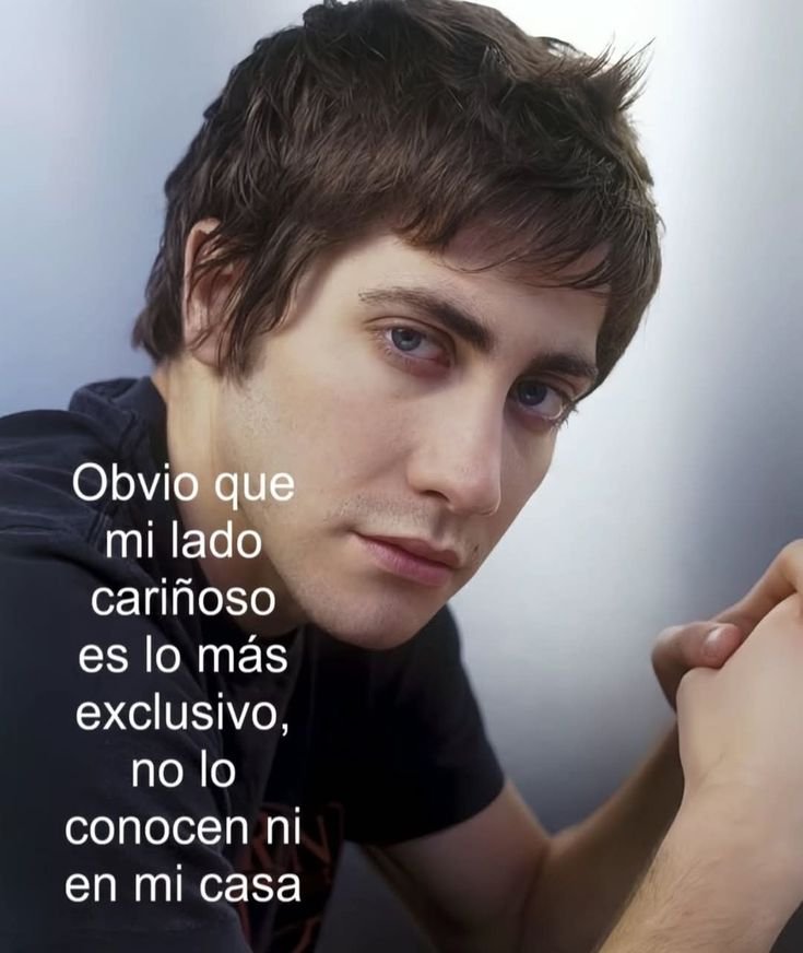 SoybienAlex's tweet photo. https://t.co/KWuqcP5Ilx