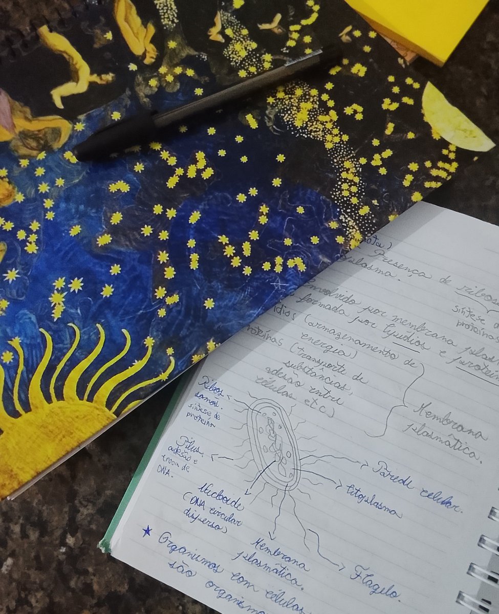 ninioutono's tweet photo. studylog | 07.09

1h de inglês pela manhã + 3h de citologia pela tarde, começando da base e aumentando gradualmente a dificuldade. https://t.co/zGw6BrSXd0