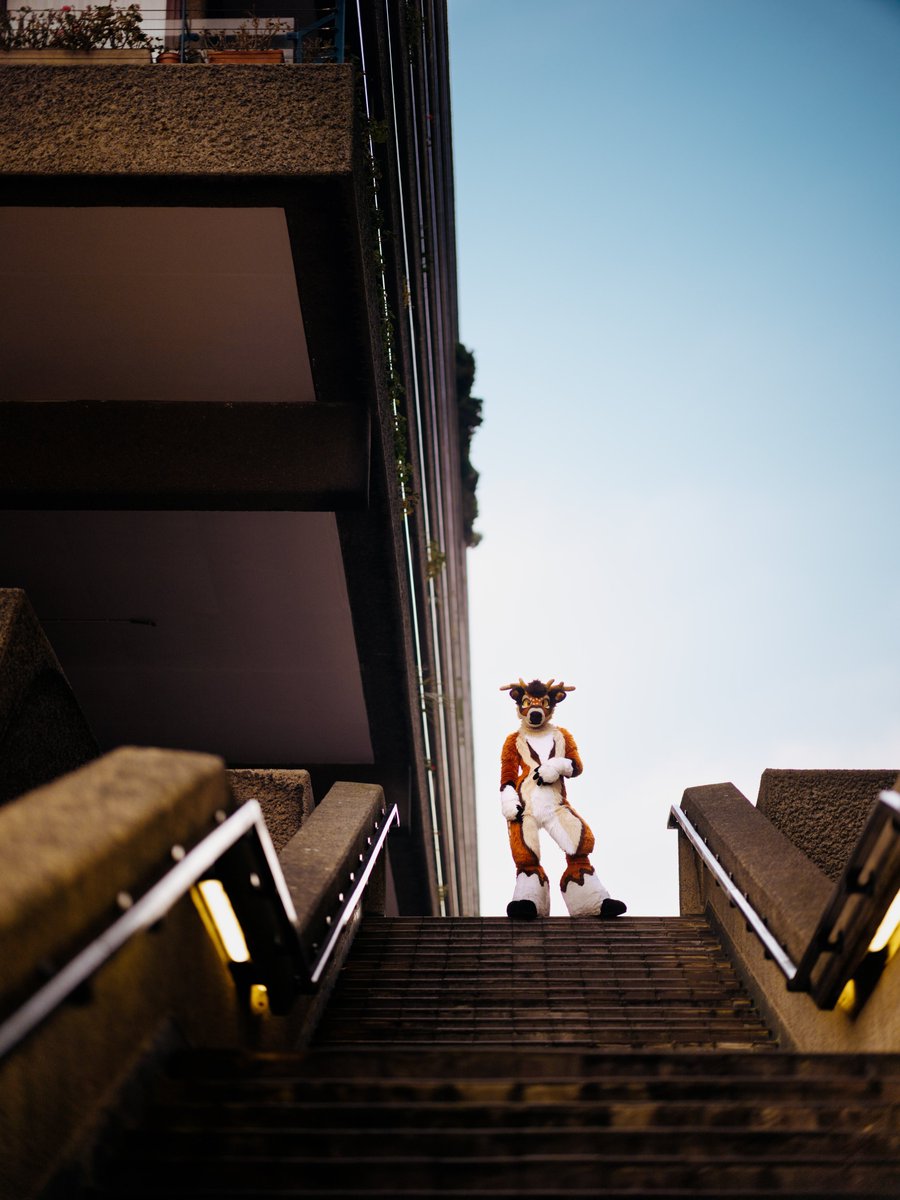 Arkofur's tweet photo. photos i took on stairs https://t.co/cn0NadKrqL