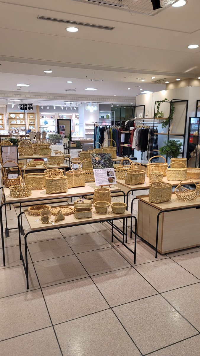 kago_toshi's tweet photo. 先月、大丸札幌店での催事に参加しました。
お越しいただいた皆さま、ありがとうございました。

継続は力なりですね。
他のことに己を注ぐ時間はありません。
竹細工の一点に情熱を捧げて参ります。 https://t.co/j9IcRW11oY