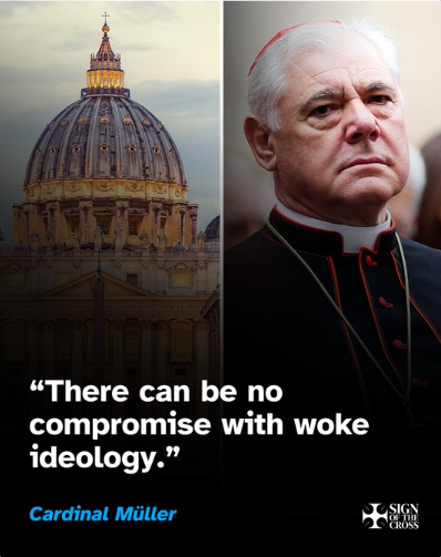 luisFTmarques's tweet photo. @KatholikenNet Cardinal Müller has been doing in recent years exactly what he now criticizes the German bishops for https://t.co/etOJWfCF3k